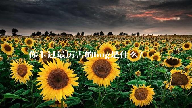 你卡过最厉害的bug是什么？