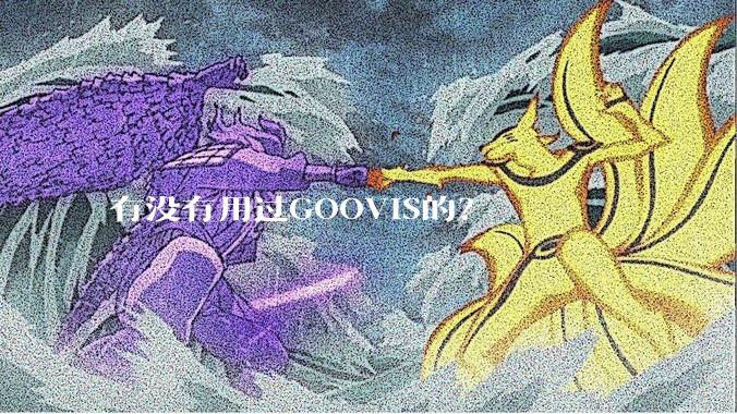 有没有用过GOOVIS的？